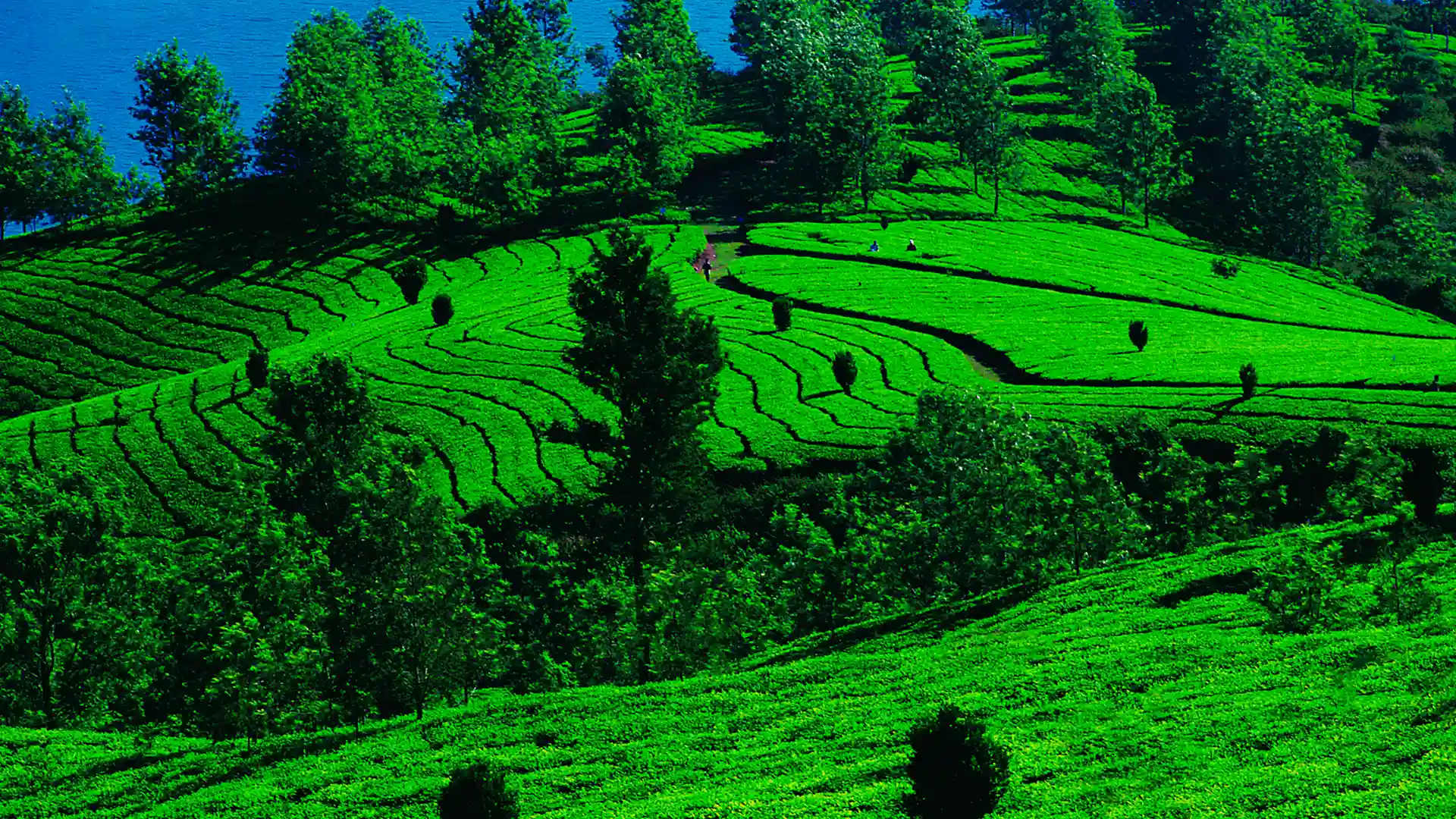 Choose location to visit