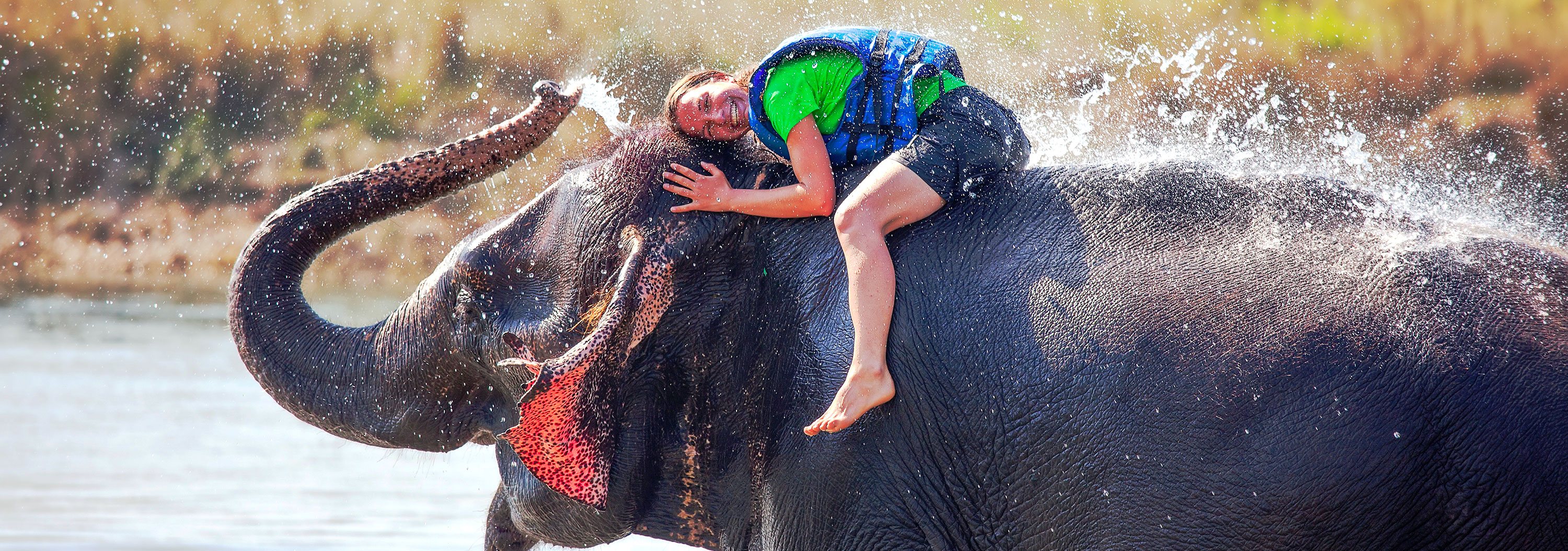 Chitwan