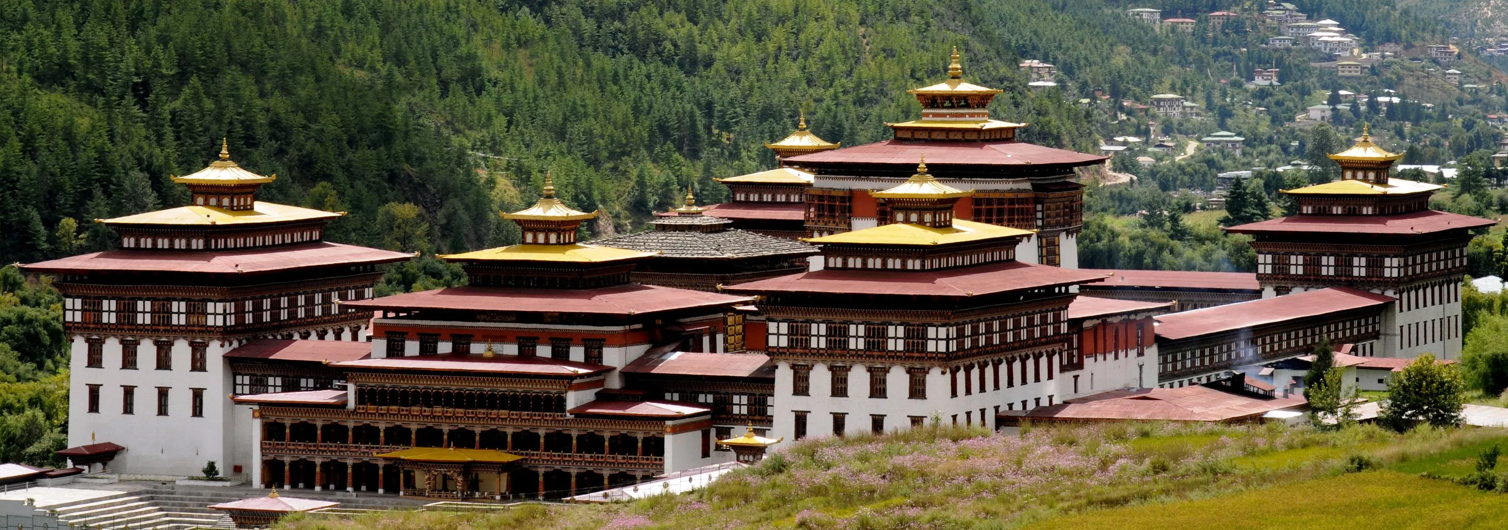 Paro
