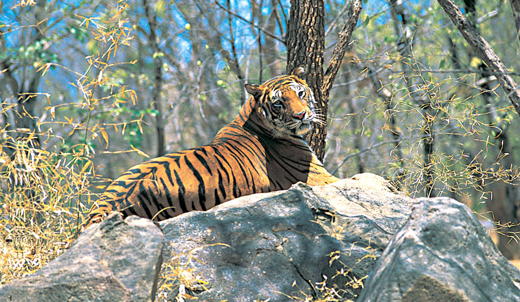 Luxury Kerala Experience with CGH Earth