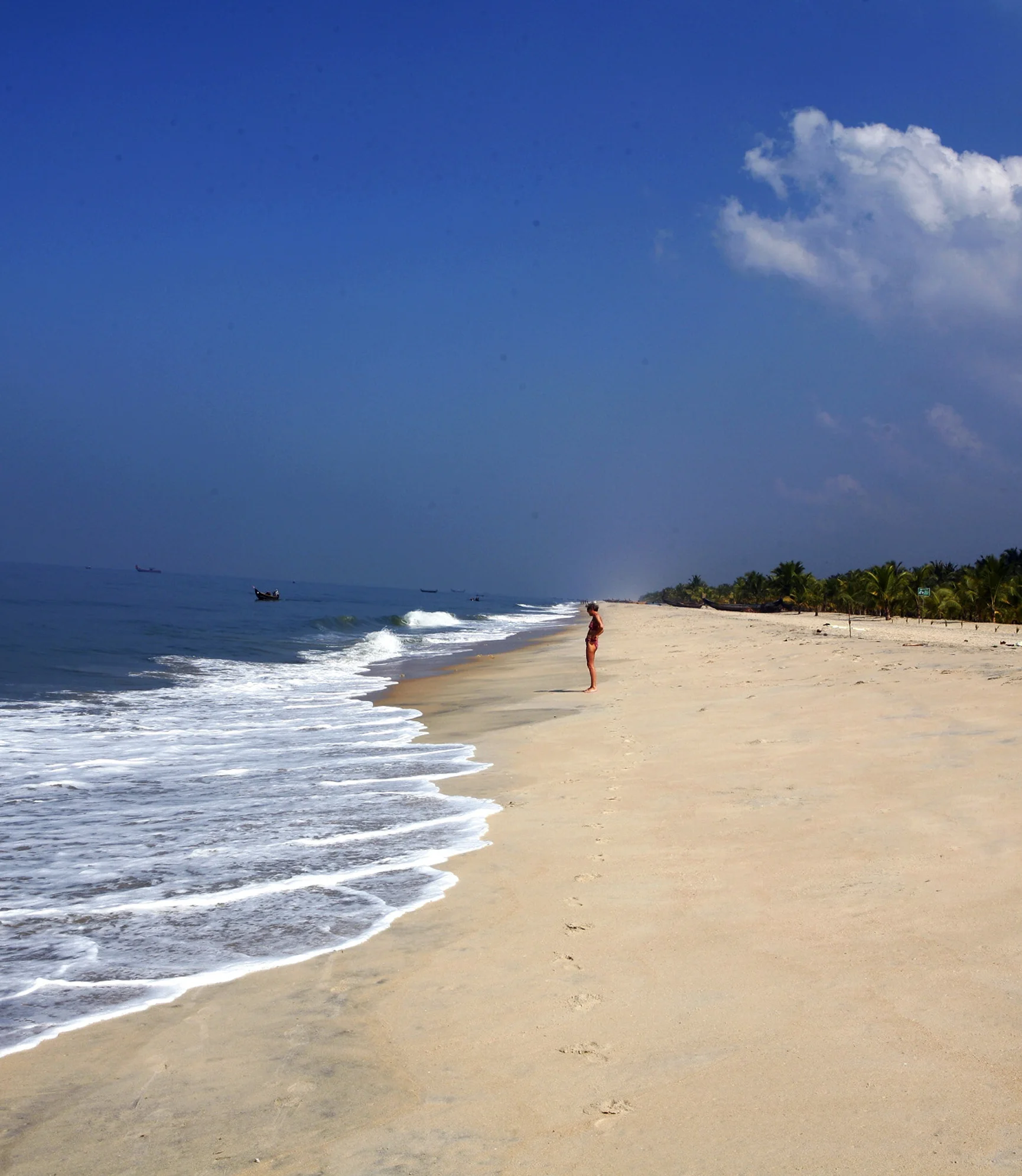 Golden Triangle With Kerala