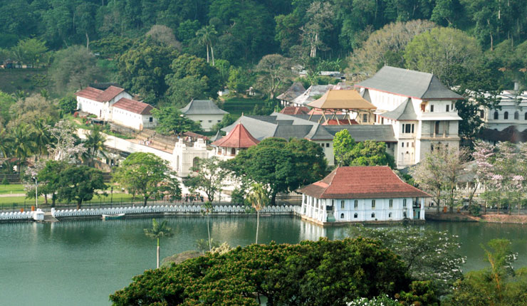 Inspiring Tea Trails & Historic Treasures