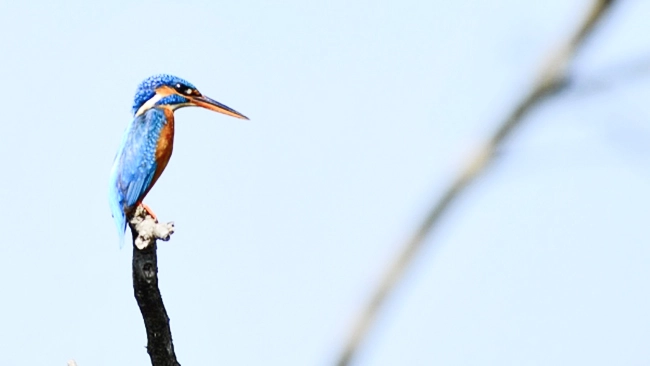 Treasures of Sri Lanka