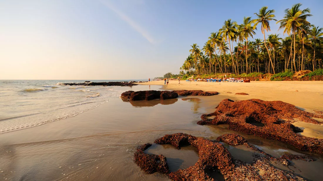 morjim-beach-goa