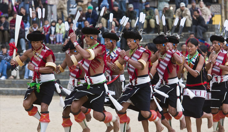 Hornbill Festival Tour