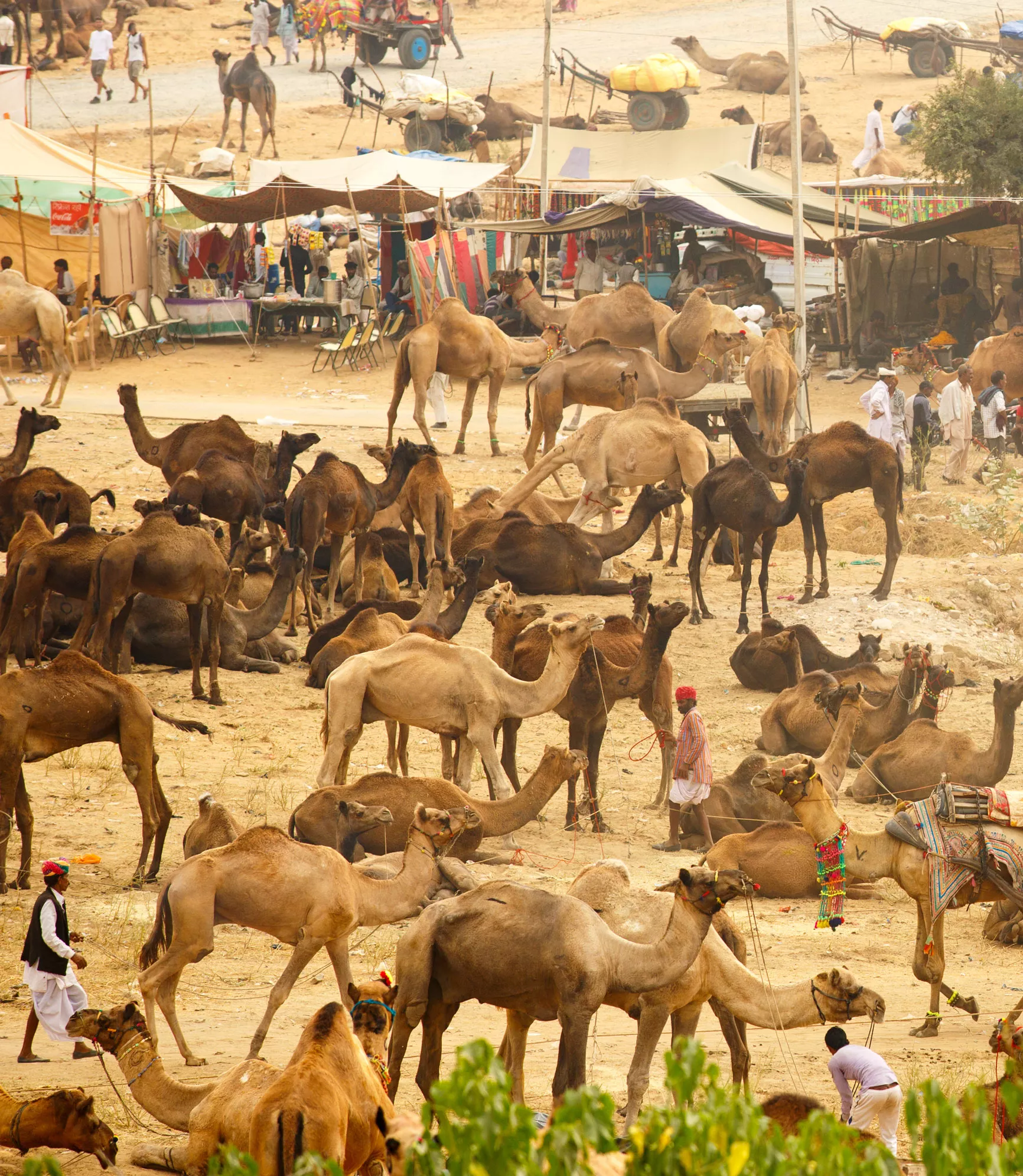 Pushkar Festival