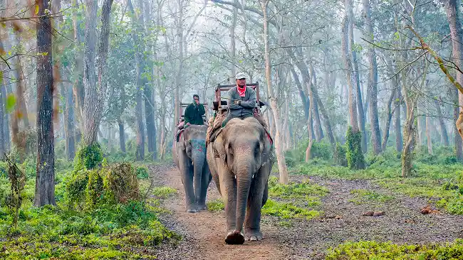 Best of Nepal