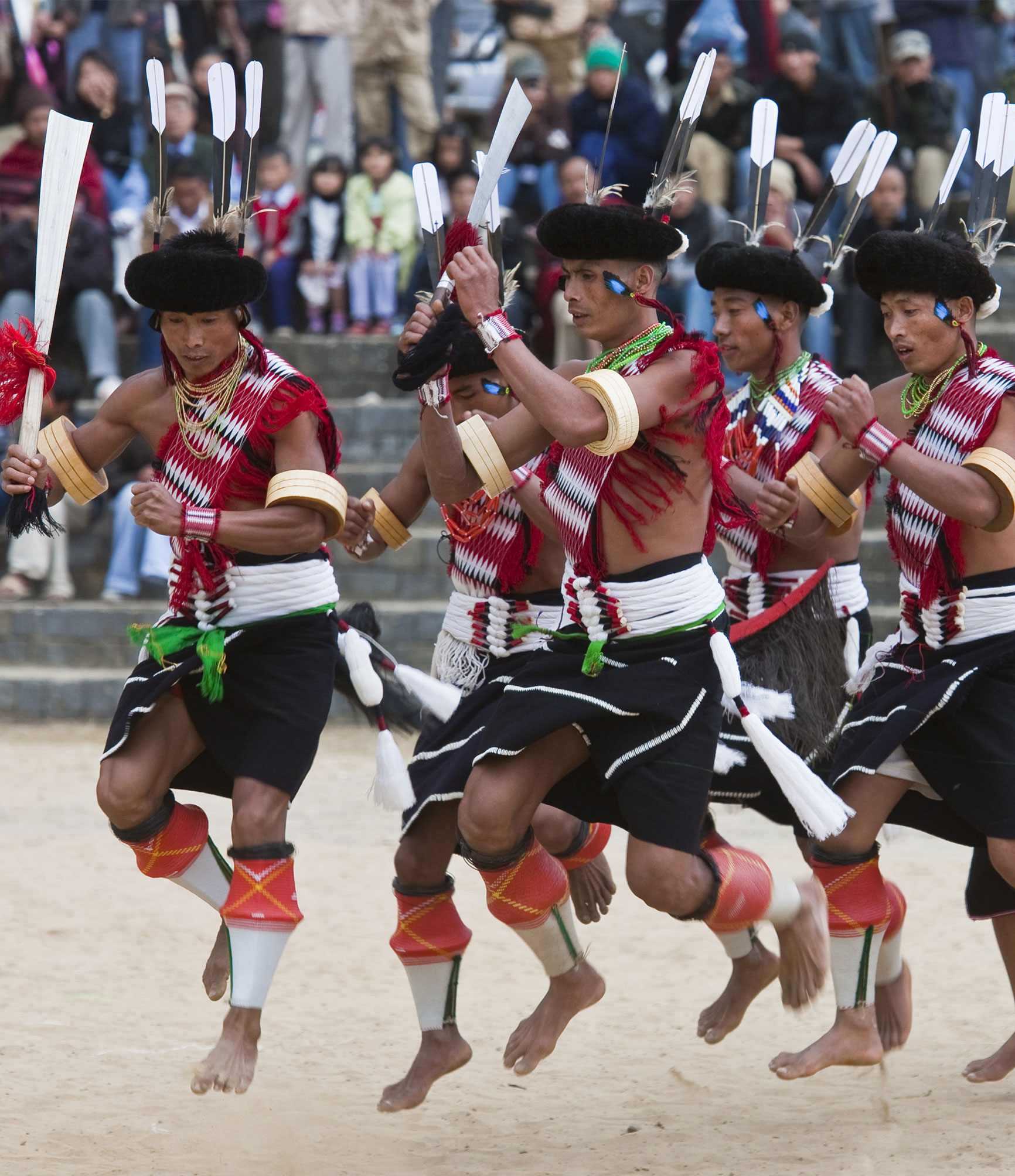 Hornbill Festival Tour
