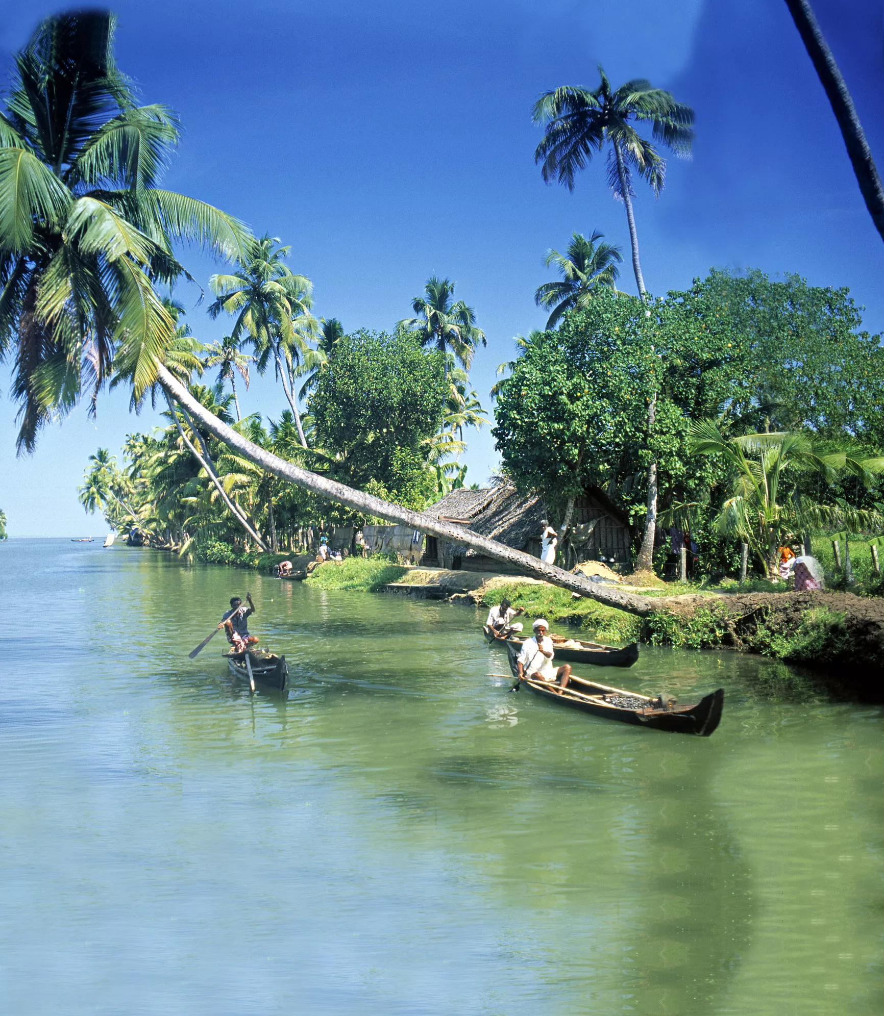 Back water, Kumarakom