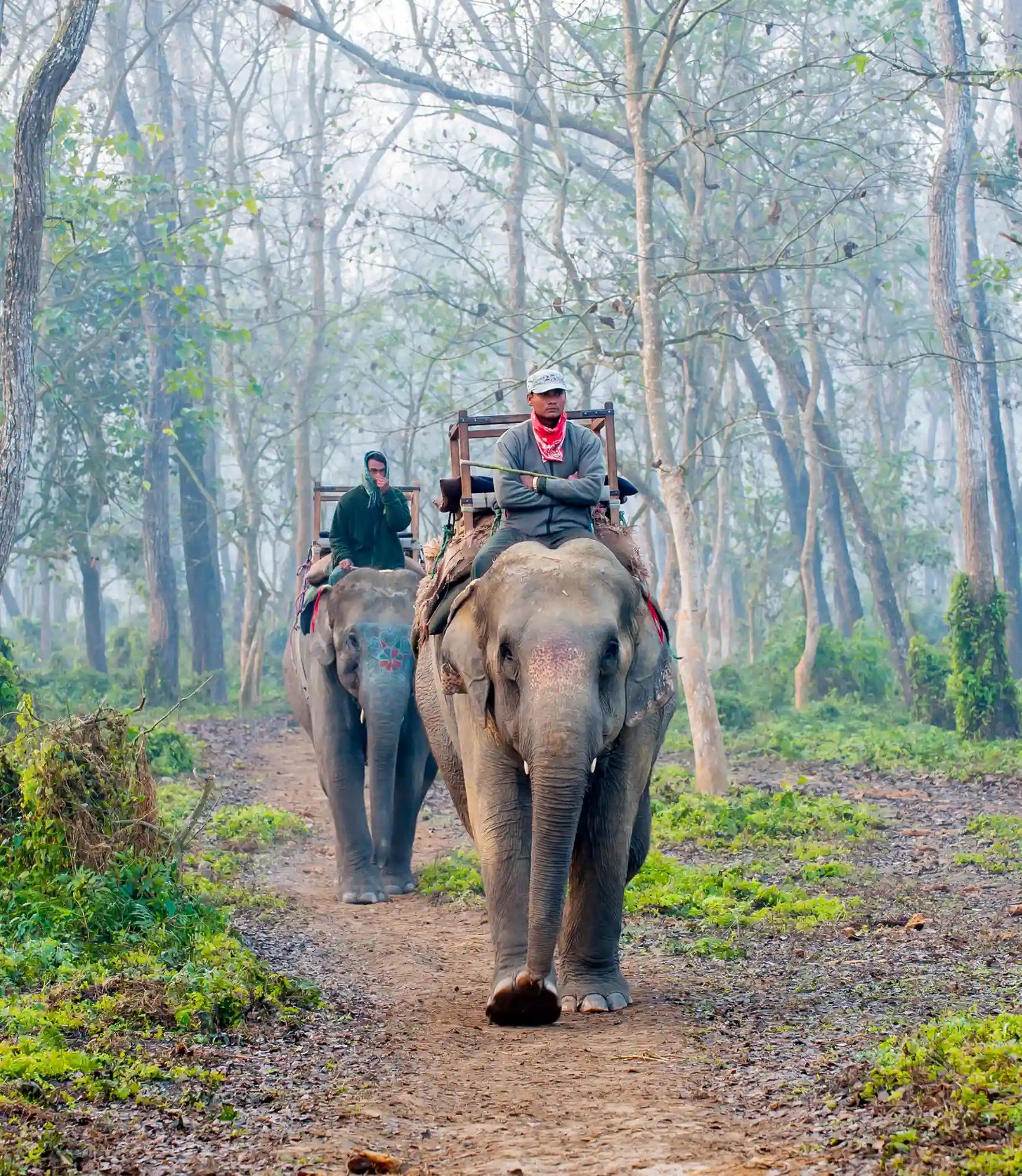 Best of Nepal