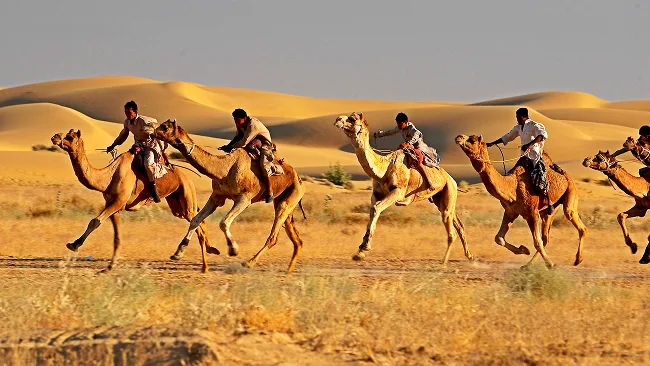 Offbeat Rajasthan