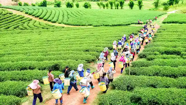Best of Arunachal Pradesh