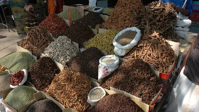 Spice Tour in India
