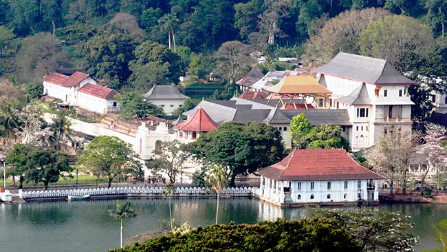 Sri Lanka Women's Only Tours