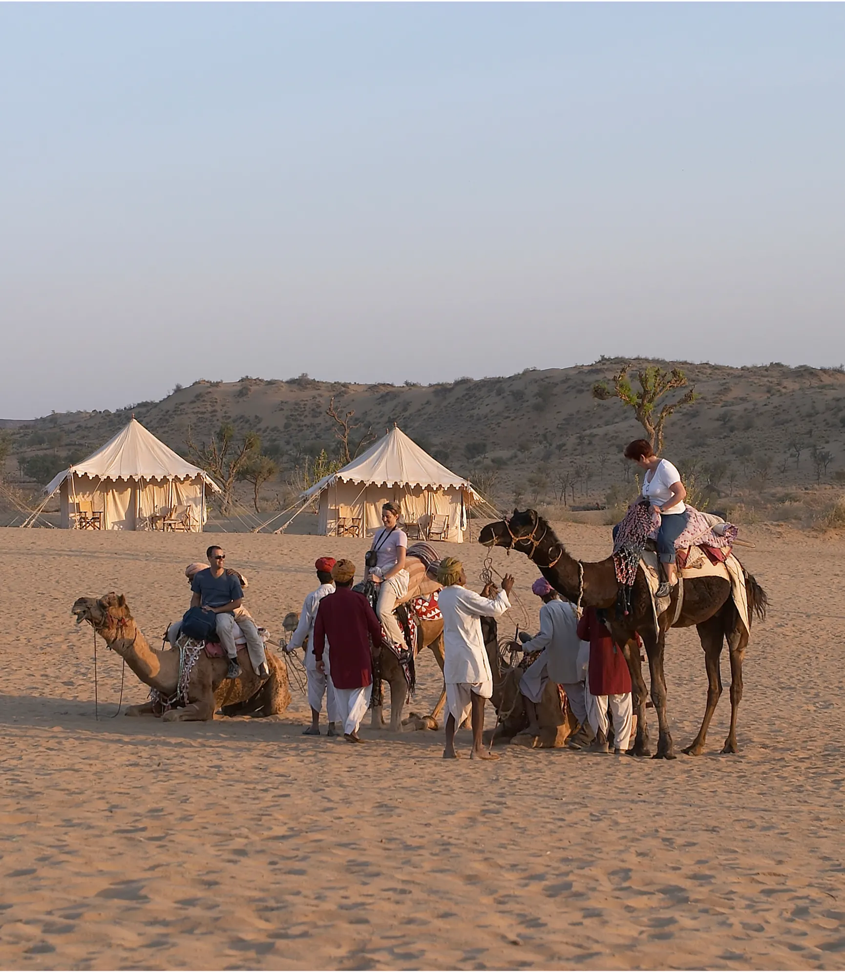 Regal Rajasthan with Desert Festival