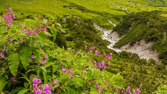 Outer Nanda Devi Sanctuary