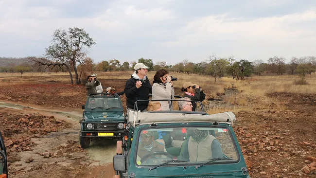 Tiger Trails