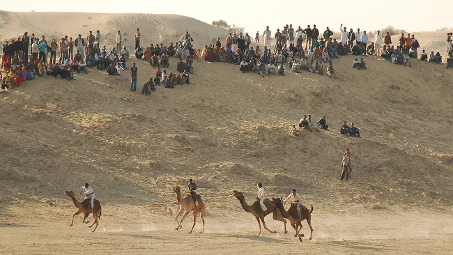 Regal Rajasthan with Camel Festival-Bikaner