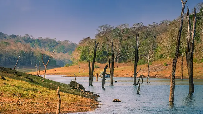 Best of Kerala