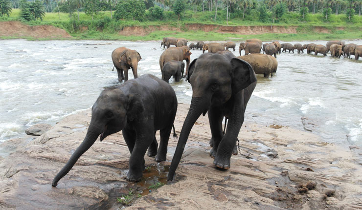 Sri Lanka Encompassed