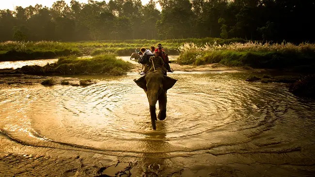 chitwan-national-park-chitwan
