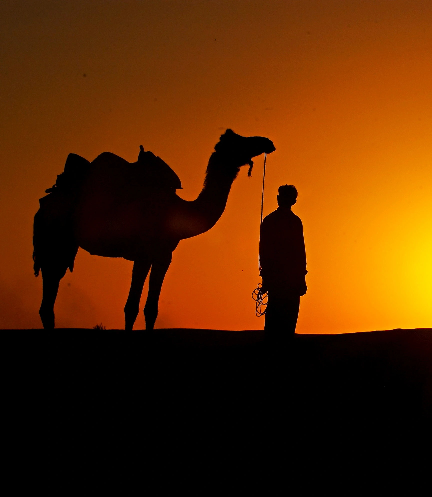 Golden Triangle With Jaisalmer