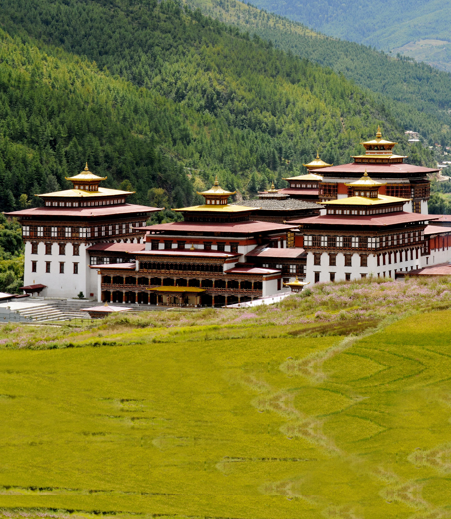 Bhutan Women's Only Tours