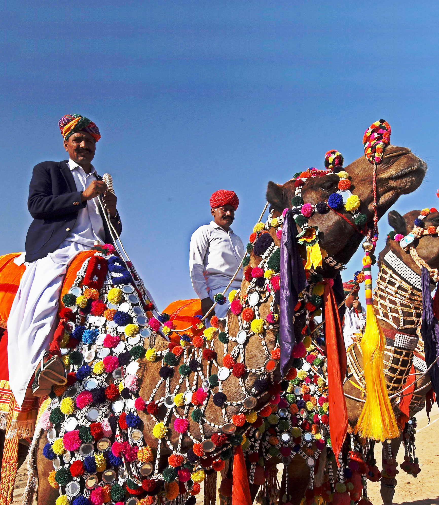 Regal Rajasthan with Camel Festival-Bikaner