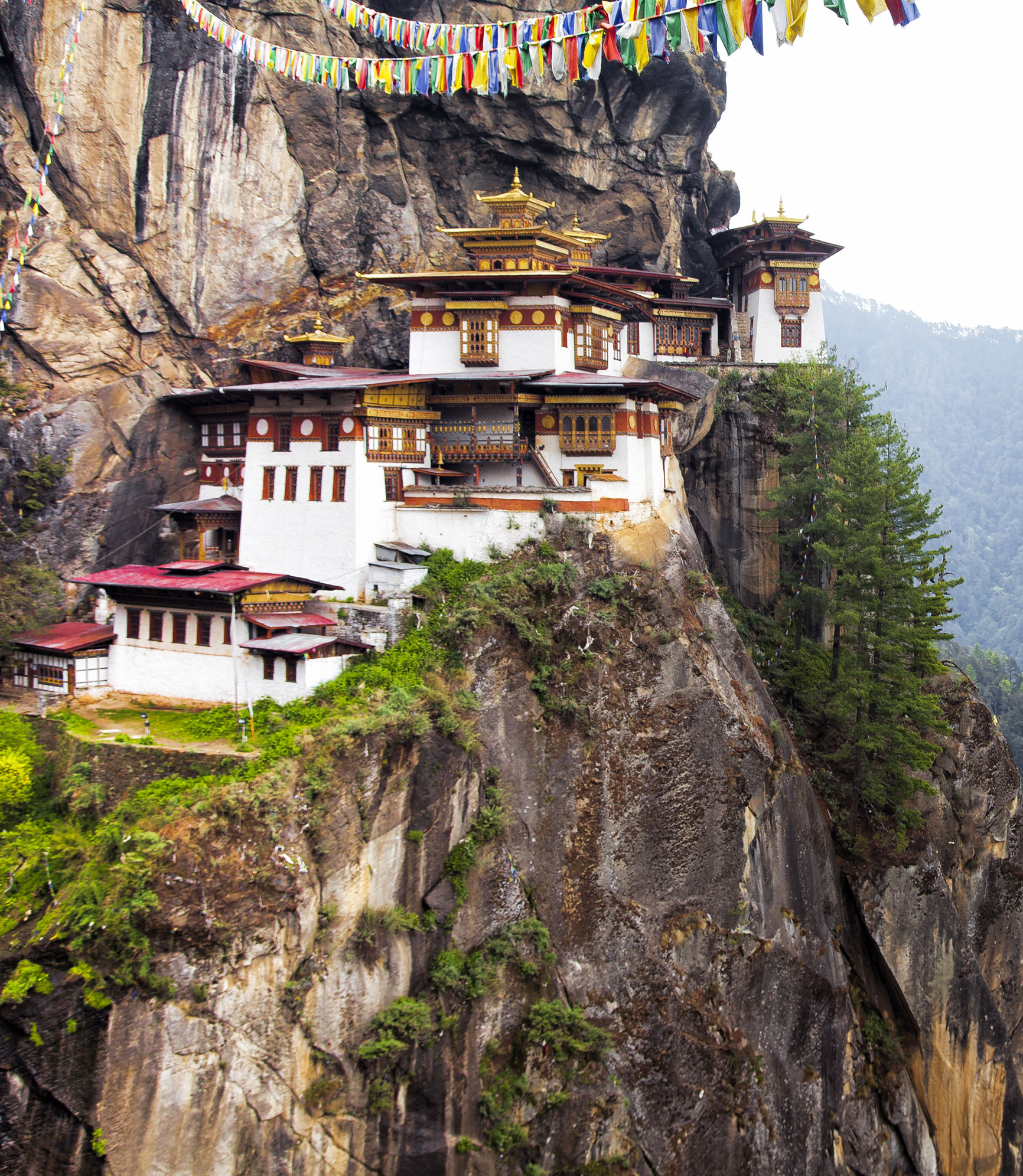 Himalayan Sanctuaries