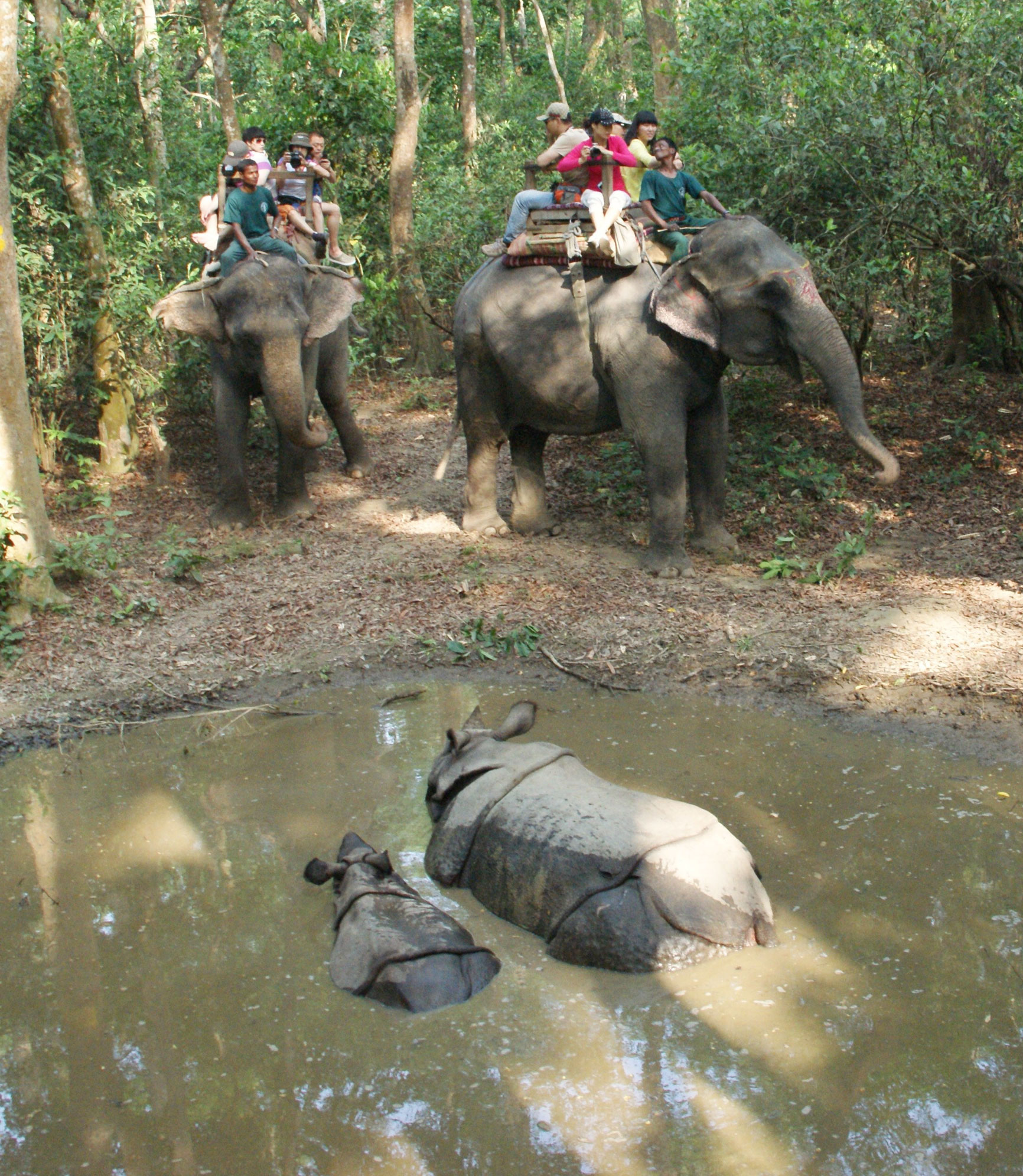Kathmandu Chitwan Wild life National park