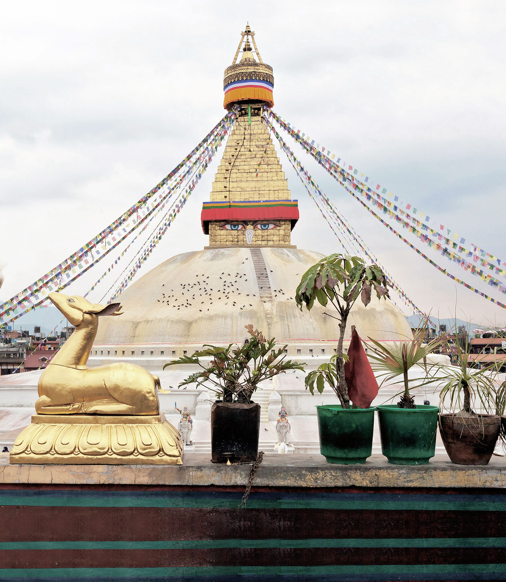 Highlights of Nepal & India