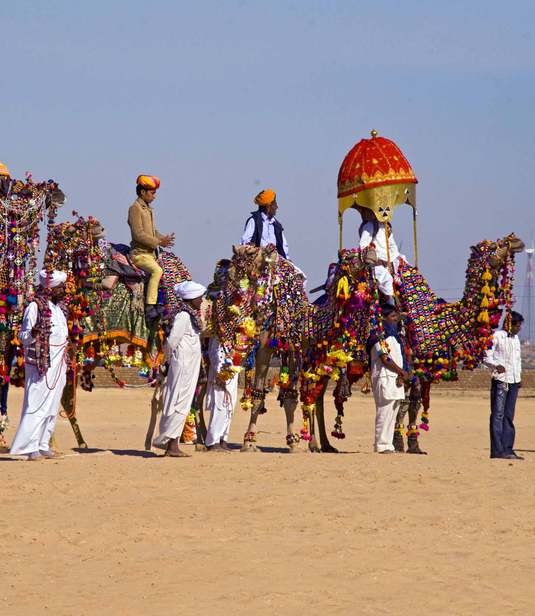 Regal Rajasthan with Desert Festival