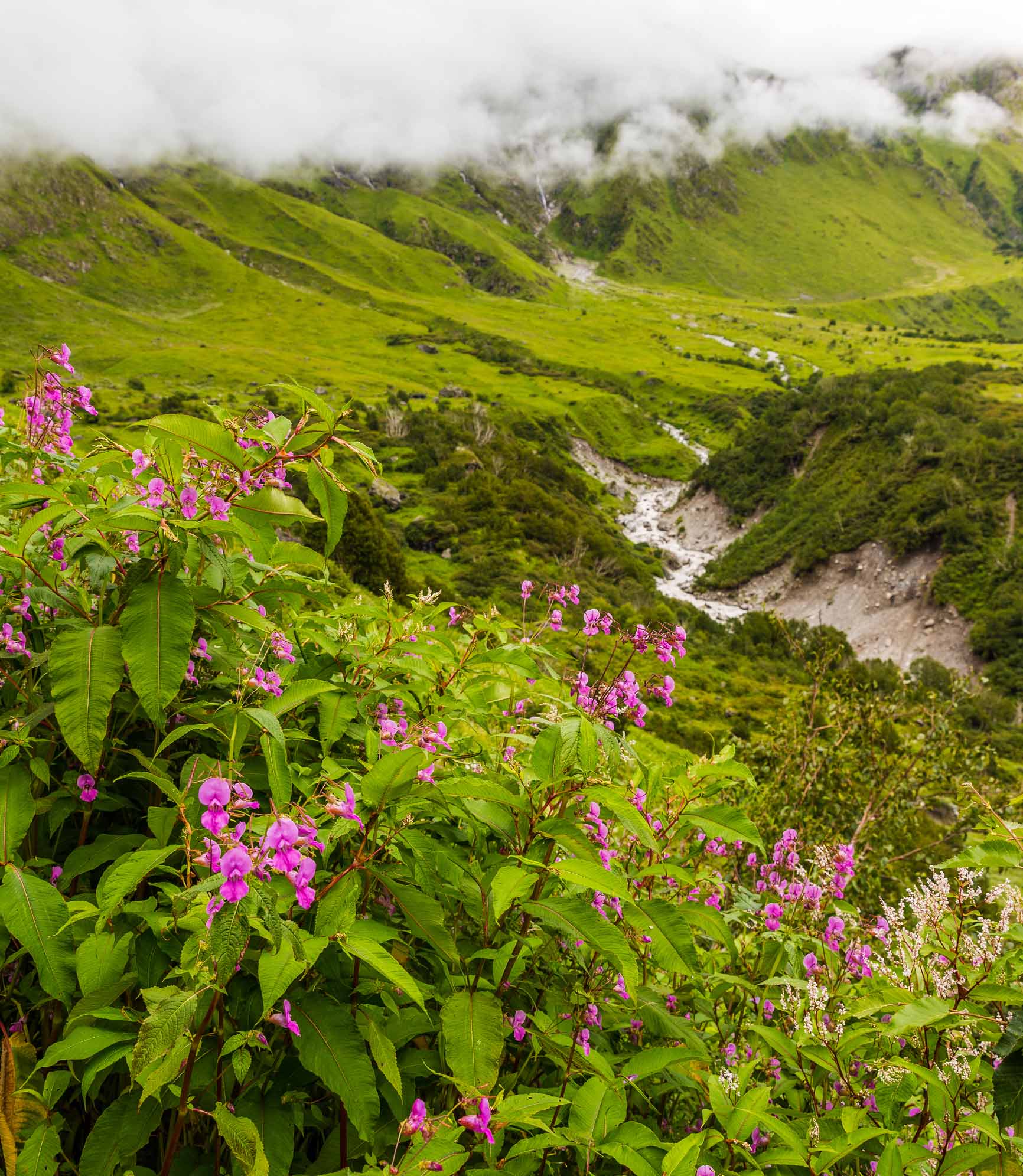 Outer Nanda Devi Sanctuary