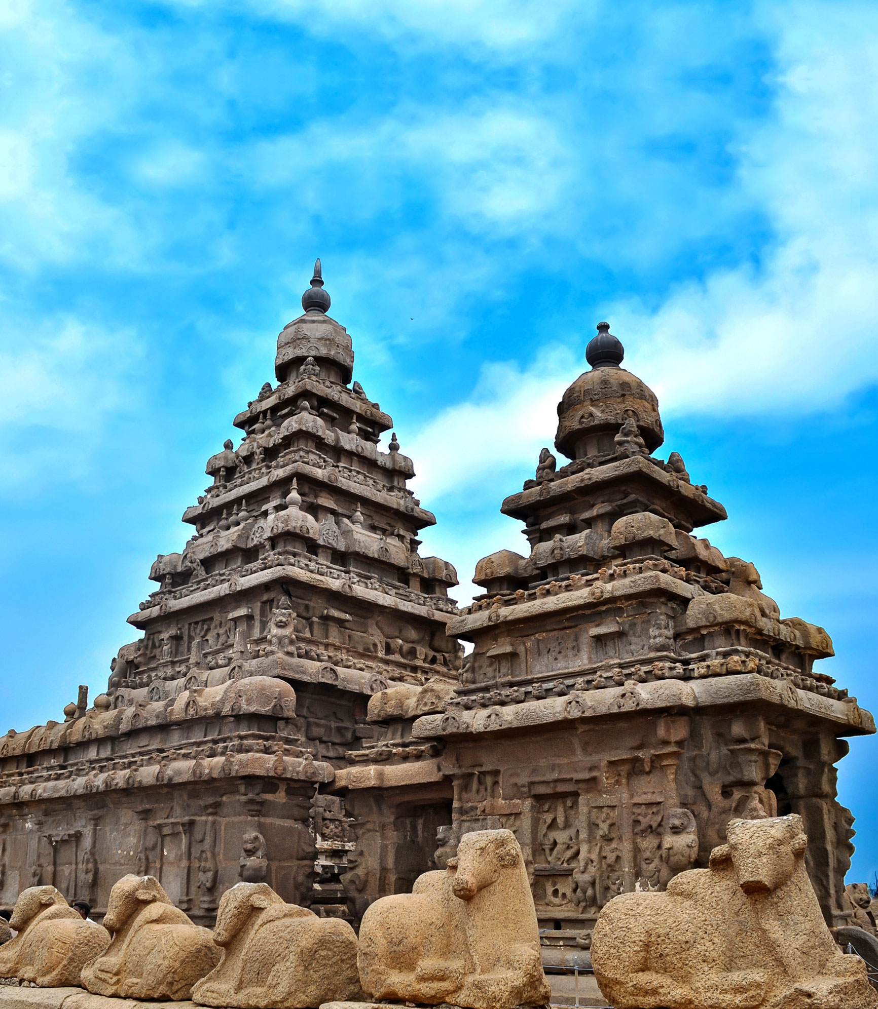 Scenic southern India Tour