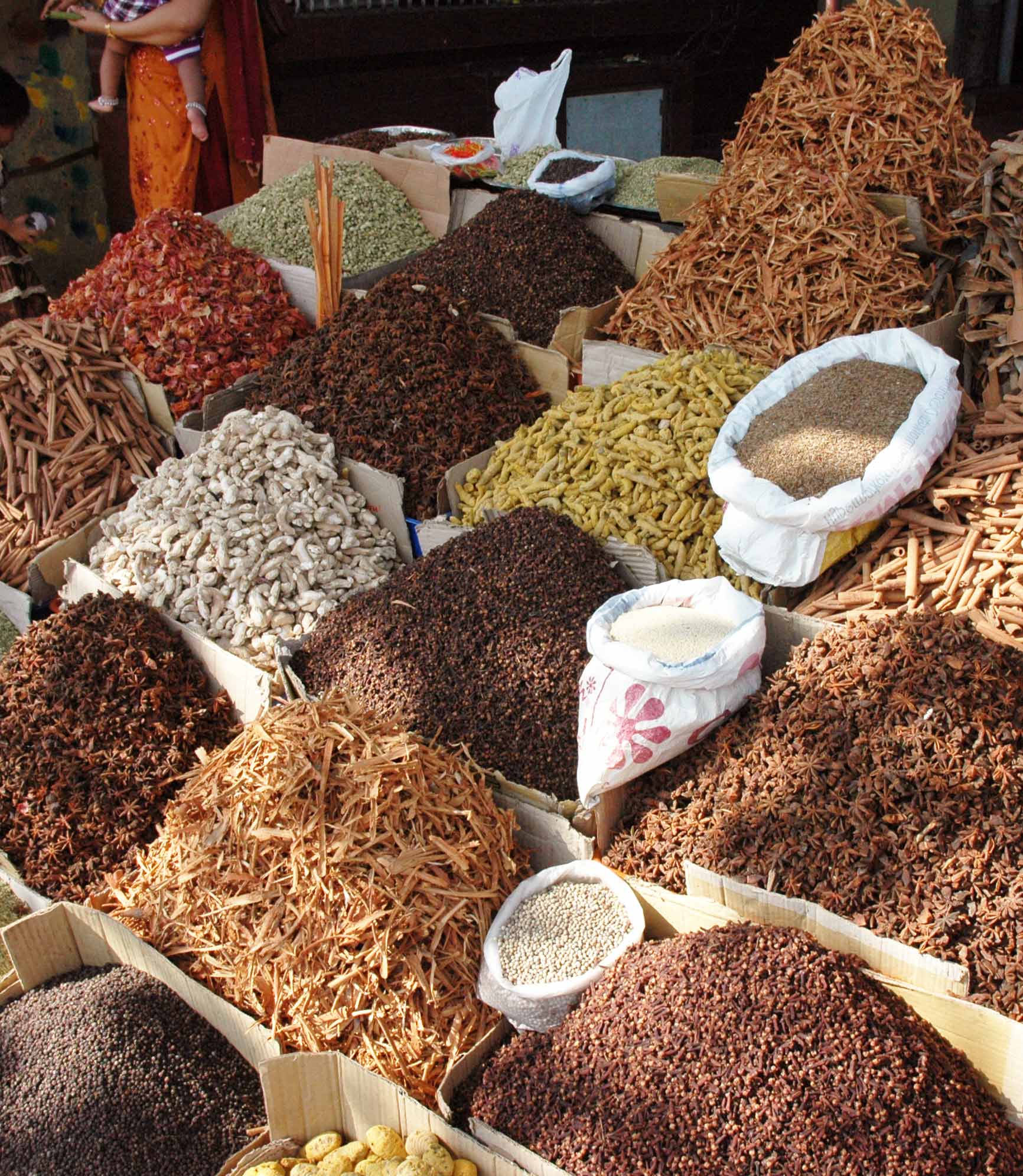 Essence of South India